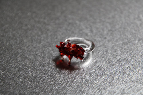 ANILLO CALIPPO FRESA-MORANGO