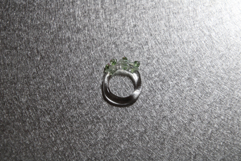 ANILLO XARDÍN