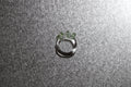 ANILLO XARDÍN